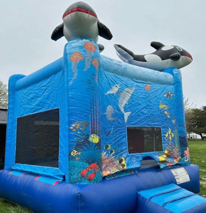 M&M Party Central Rentals